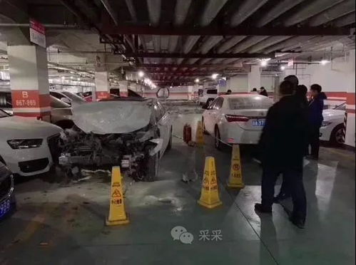 駕校教練到底有多會(huì)？哈哈哈這嘴我真的服了——長(zhǎng)春駕校生存指南